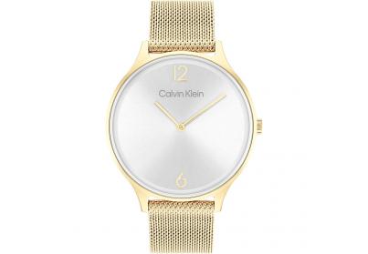 Calvin Klein női óra CK25200003