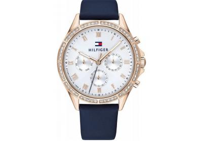 Tommy Hilfiger Ari TH1782140