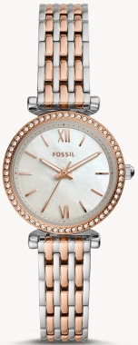Fossil Carlie Mini ES4649 óra