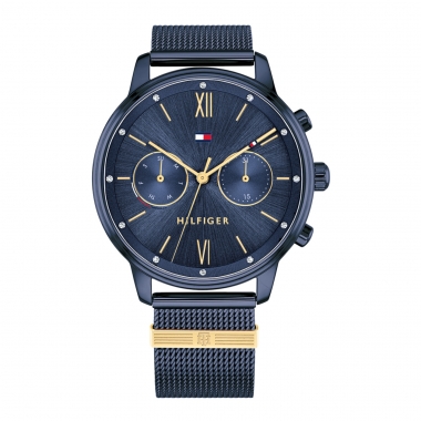 Tommy Hilfiger Blake TH1782305